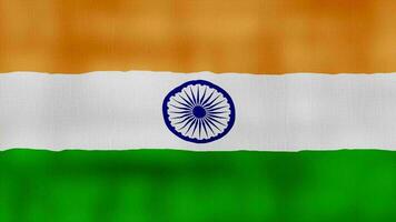 India bandera ondulación paño Perfecto bucle, lleno pantalla animación 4k resolución. video