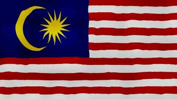 Malasia bandera ondulación paño Perfecto bucle, lleno pantalla animación 4k resolución. video