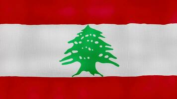 Lebanon flag waving cloth Perfect Looping, Full screen animation 4K Resolution. video