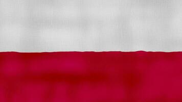 Polen Flagge winken Stoff perfekt Schleife, voll Bildschirm Animation 4k Auflösung. video