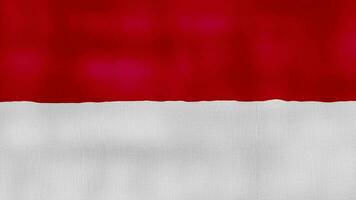 Monaco flag waving cloth Perfect Looping, Full screen animation 4K Resolution. video