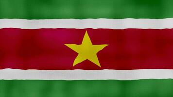 Surinam bandera ondulación paño Perfecto bucle, lleno pantalla animación 4k resolución. video