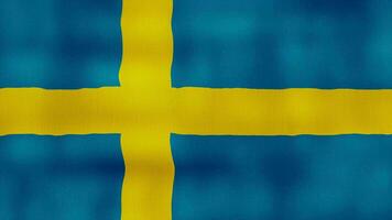 Zweden vlag golvend kleding perfect lus, vol scherm animatie 4k resolutie video
