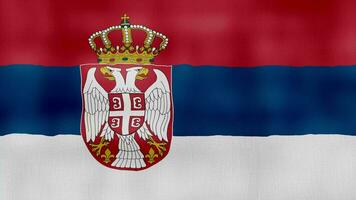 Serbia bandiera agitando stoffa Perfetto looping, pieno schermo animazione 4k risoluzione. video