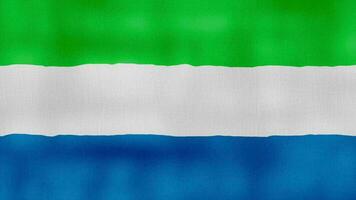 Sierra Leone vlag golvend kleding perfect lus, vol scherm animatie 4k oplossing. video