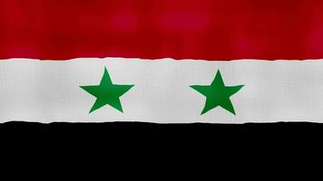 Syrien Flagge winken Stoff perfekt Schleife, voll Bildschirm Animation 4k Auflösung video