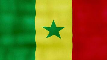 Sénégal drapeau agitant tissu parfait en boucle, plein écran animation 4k résolution video