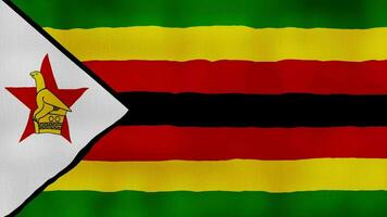 Zimbabwe drapeau agitant tissu parfait en boucle, plein écran animation 4k résolution video