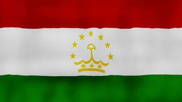 tajiquistão bandeira acenando pano perfeito looping, cheio tela animação 4k resolução. video