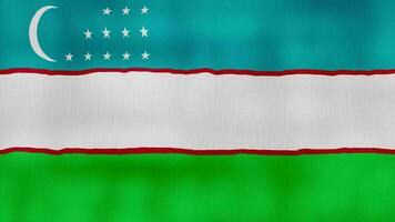 Oezbekistan vlag golvend kleding perfect lus, vol scherm animatie 4k oplossing. video