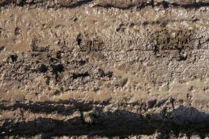 barro textura o mojado marrón suelo como natural orgánico arcilla. foto