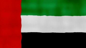 United Arab Emirates Flag waving cloth Perfect Looping, Full screen animation 4K Resolution video