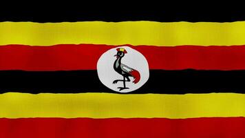 Uganda Flagge winken Stoff perfekt Schleife, voll Bildschirm Animation 4k Auflösung video