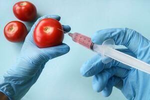 tomate y jeringuilla con gmo en manos en un azul antecedentes. foto