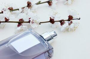 Light beauty desktop background with Bottle of female perfume and blossom branch cherry. photo