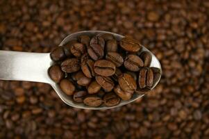 A mixture of different types of freshly roasted brown coffee beans on a spoon. photo