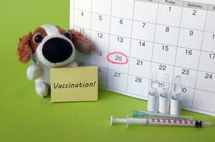 A syringe with ampoules, a soft toy a dog and a calendar with a marked date on light green background. photo