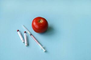 Tomato and syringe with GMO on a blue background. photo