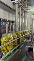 Olives in glass jars move on a production line. Factory for the production of canned olives. Glass jars with green olives move along an automatic conveyor line or belt in a cannery. video