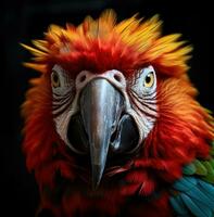 AI generated a brightly colored parrot stares into the camera, photo