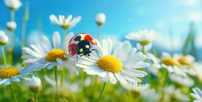 AI generated a ladybug on a daisy, photo