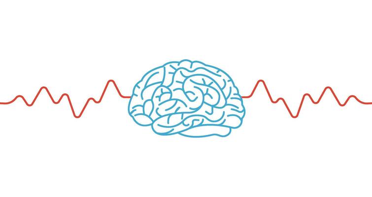 Human brain with wave lines. Power of Human mind. Brain wave activity. Complex neurology and brain related concepts and ideas.