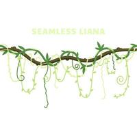 Seamless isolated liana plant with green leaves. Jungle forest nature single element. Tropical climbing plant vines. vector