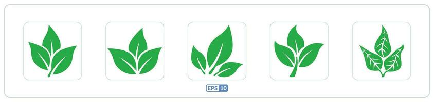 Eco green three leaf, leaves color flat icon vector