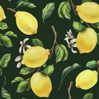 Lemons are yellow, juicy, ripe with green leaves, flower buds on the branches, whole and slices. Watercolor, hand drawn botanical illustration. Seamless pattern on a green background vector