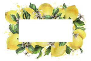 Lemons are yellow, juicy, ripe with green leaves, flower buds on the branches, whole and slices. Watercolor, hand drawn botanical illustration. Frame, template on a white background. vector