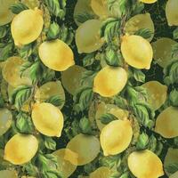 limones son amarillo, jugoso, maduro con verde hojas, flor brotes en el sucursales, todo y rebanadas acuarela, mano dibujado botánico ilustración. sin costura modelo en un verde antecedentes vector