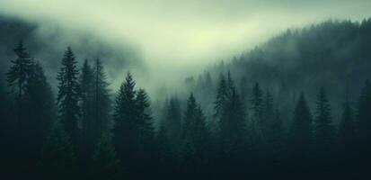 AI generated fog covers a mountain in a forest, photo