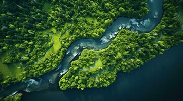 AI generated aerial view of a river flowing in middle of a forest, photo