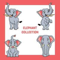 elefante vector conjunto colección gráficos