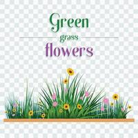 Grass And Flower Green Background vector