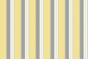 Stripe vertical vector of texture fabric seamless with a pattern background lines textile.