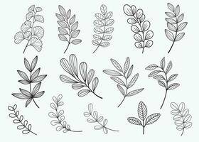 Set of leaves. Hand drawn decorative elements vector