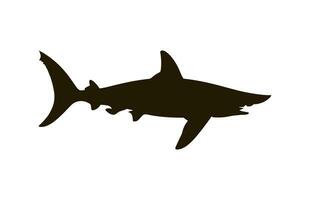 A hammerhead shark silhouette Vector