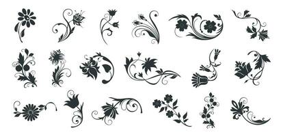 Styling daisy floral and flower silhouettes ornamental of vector icon set collection