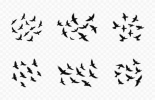 Flock Flying birds black Vector Bundle, A flock of flying birds silhouette Set