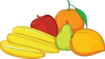 ilustración vectorial de frutas vector