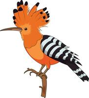 Madagascar hoopoe sitting on a tree branch vector