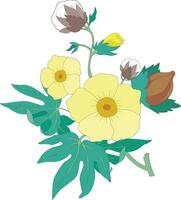 Blooming flowers with buds vector illustration