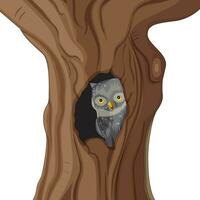 Owl peeping from a tree trunk vector