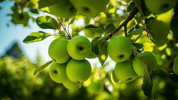 AI generated Fresh green apple on the field with light exposure photo