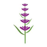 Fresco lavanda flor logo vector