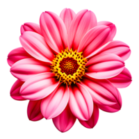 AI generated Pink Flower Isolated on Transparent Background png