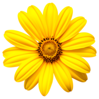 AI generated Yellow Sunflower Isolated on Transparent Background png