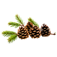 AI generated Pine Cones with Tree Branch Isolated on Transparent Background png