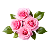 AI generated Pink Rose Flowers Isolated on Transparent Background png